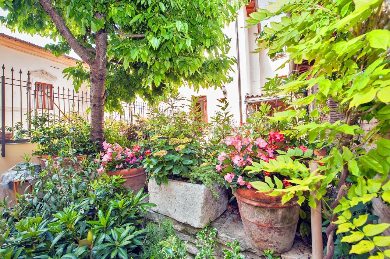 B&B Bone Novelle Dimora Storica Palazzo Zuzi L'Aquila Ngoại thất bức ảnh