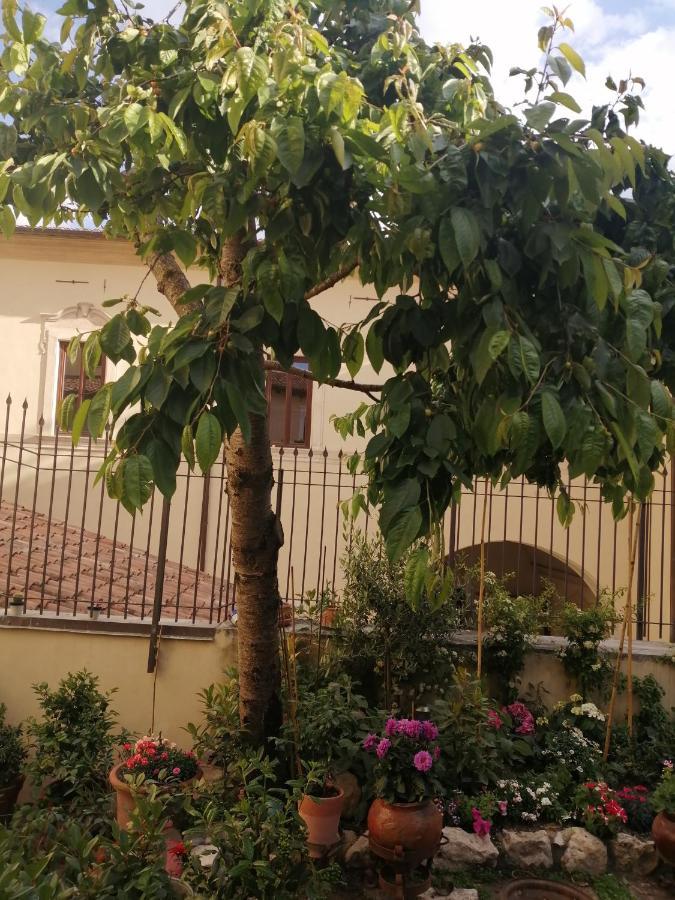 B&B Bone Novelle Dimora Storica Palazzo Zuzi L'Aquila Ngoại thất bức ảnh